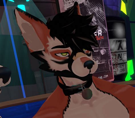 packages for each file type so you can edit as needed. . Furry avatar vrchat gumroad